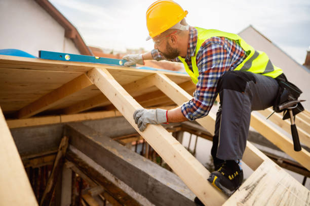 Best Roof Maintenance Services  in College Park, MD